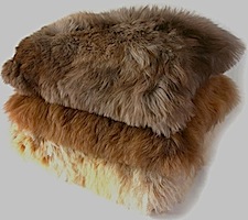alpaca cuddle pillow