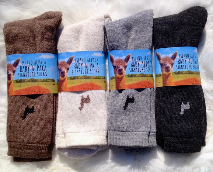 baby alpaca socks