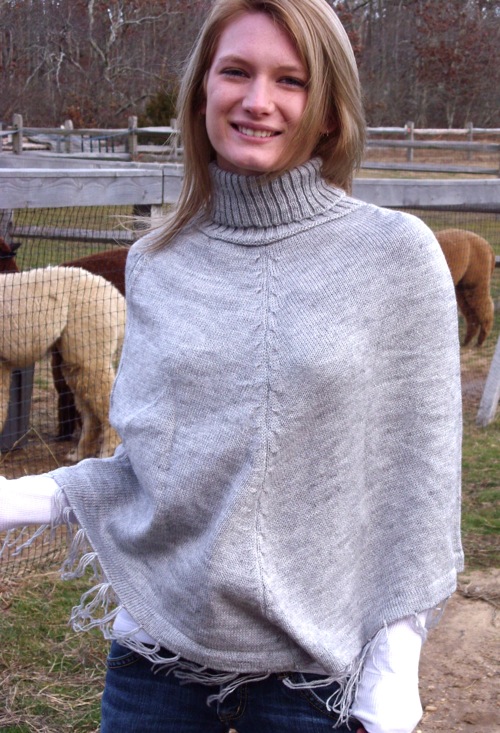 alpaca farm, alpaca for sale, alpaca breeding, alpaca clothing, alpaca